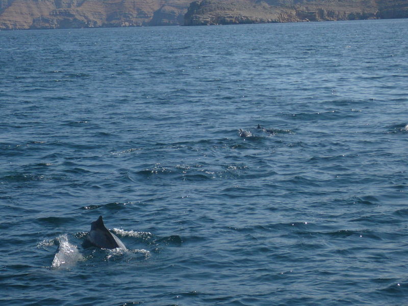 Musandam3