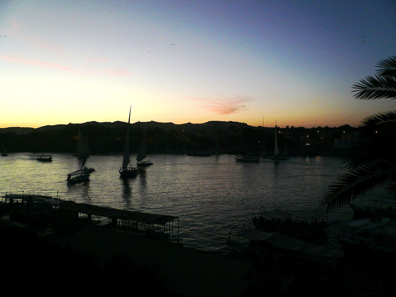 Nile20