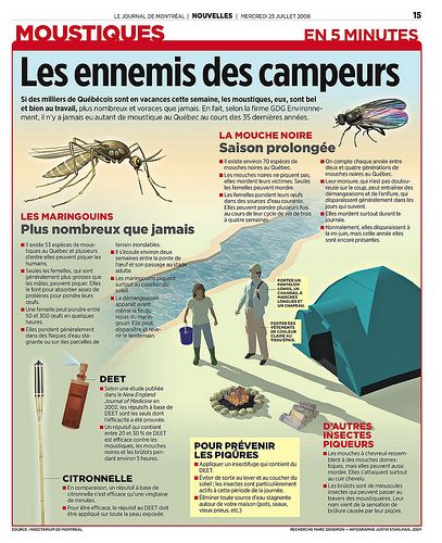 Mosquito