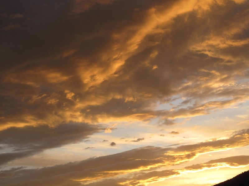 Newsky4