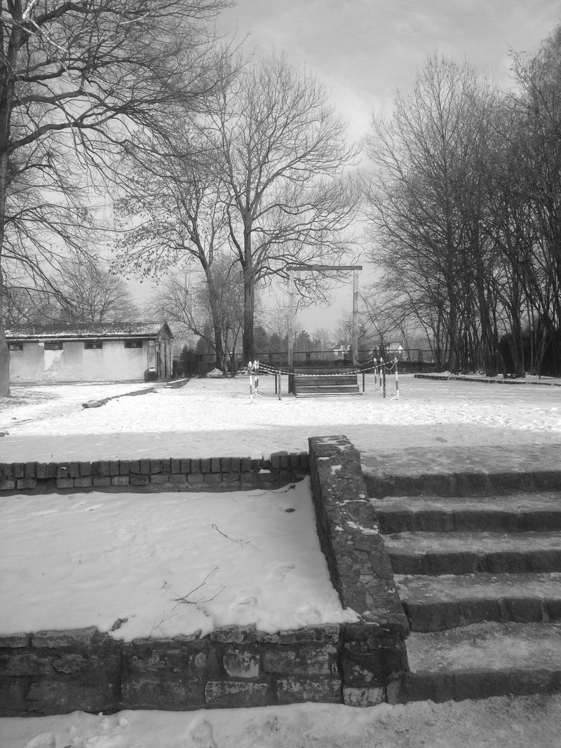 Ausch b&w gallow Ausch b&w gallow