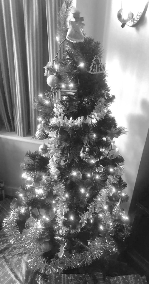 Tree 2 - 1 Tree 2 - 1
