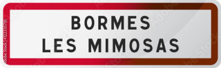 Bormes sign - 1