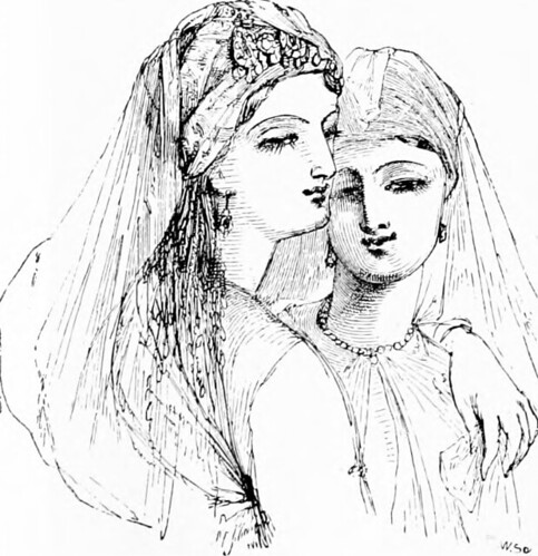 Image from page 255 of "The thousand and one nights (Volume 1): commonly called, in England, the Arabian nights' entertainments" (1883)