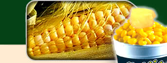 Magiccorn