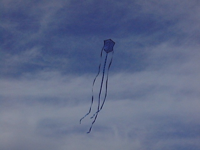 Kites Kites