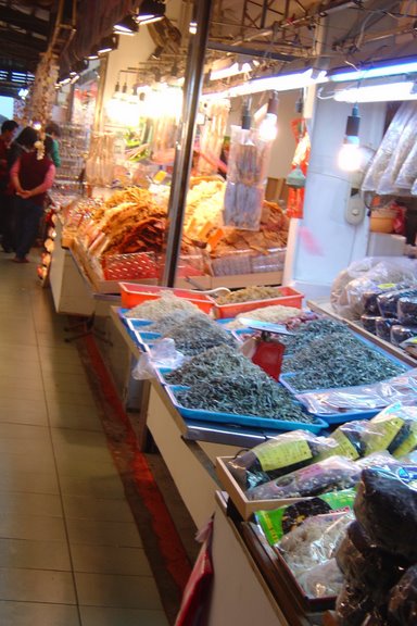 Dsc03701 Dsc03701